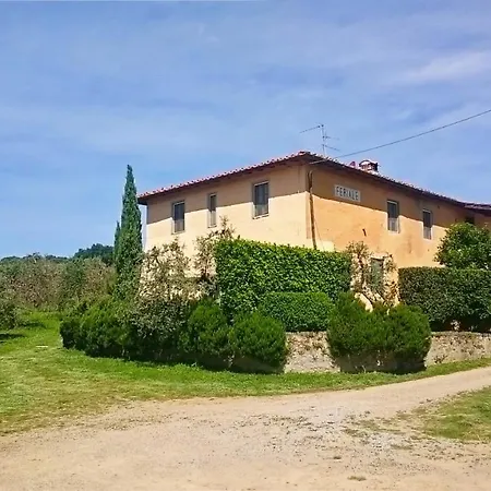 Petrolo-2